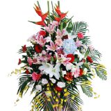 ʯʻٵ