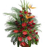 ʯʻٵ